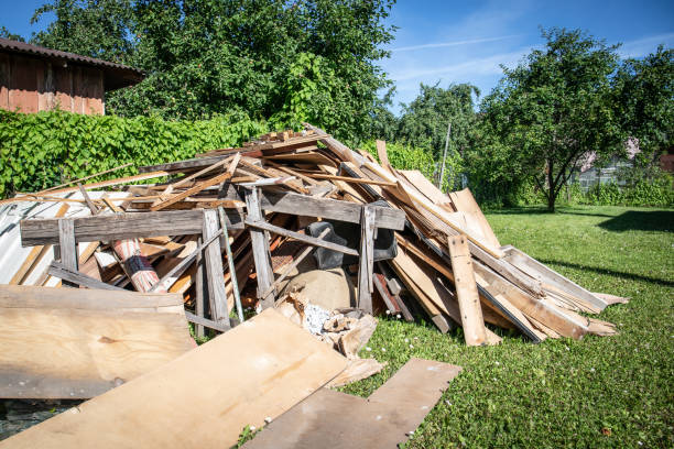 Shed Removal in Island Walk, FL